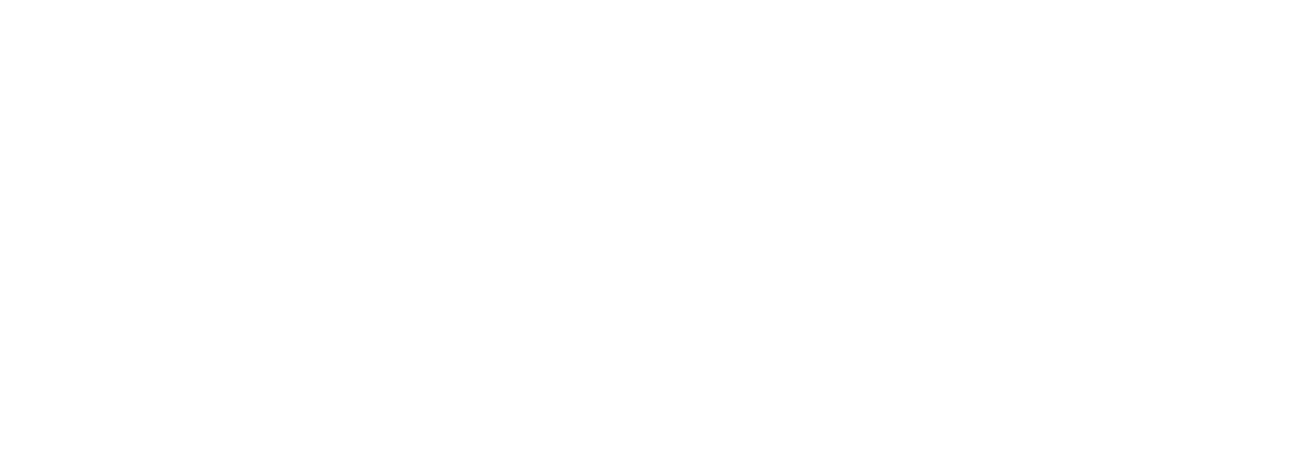 Logo - Auto 2027 white
