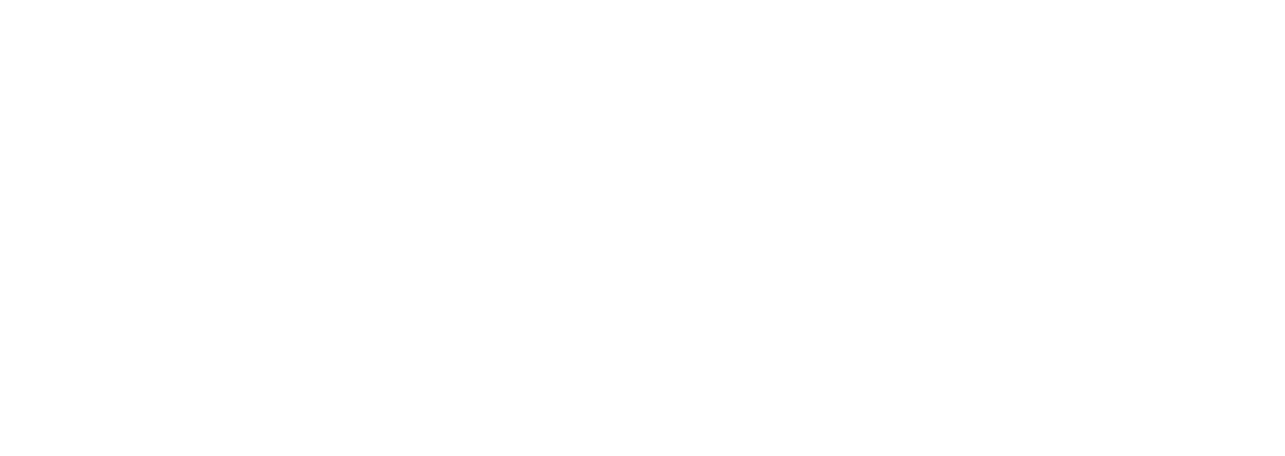 Logo - Auto 2027 white