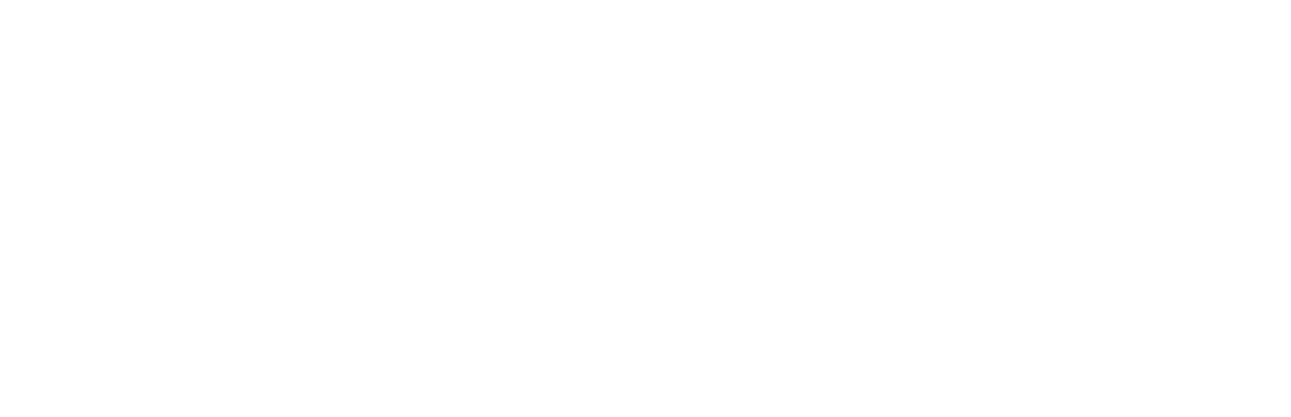 Logo - Auto 2027 white