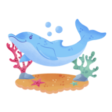 Dolphin
