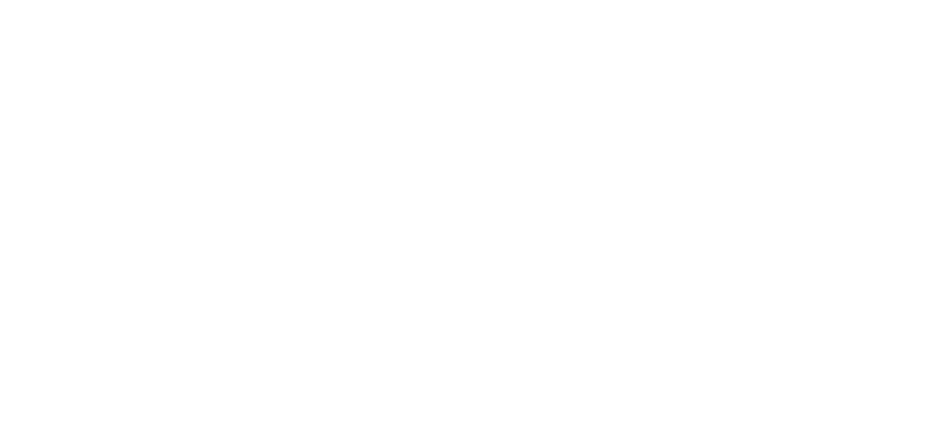 Skola 2024 logo