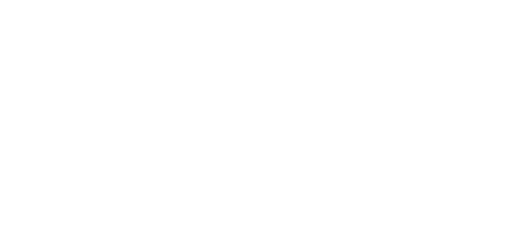 Logo White