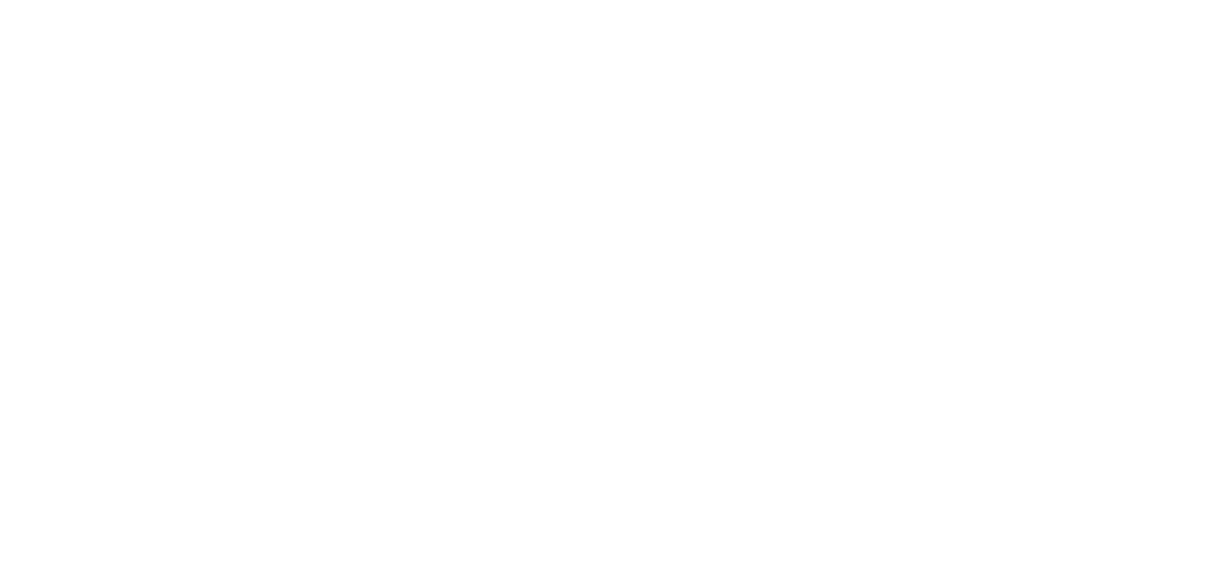 Logo White