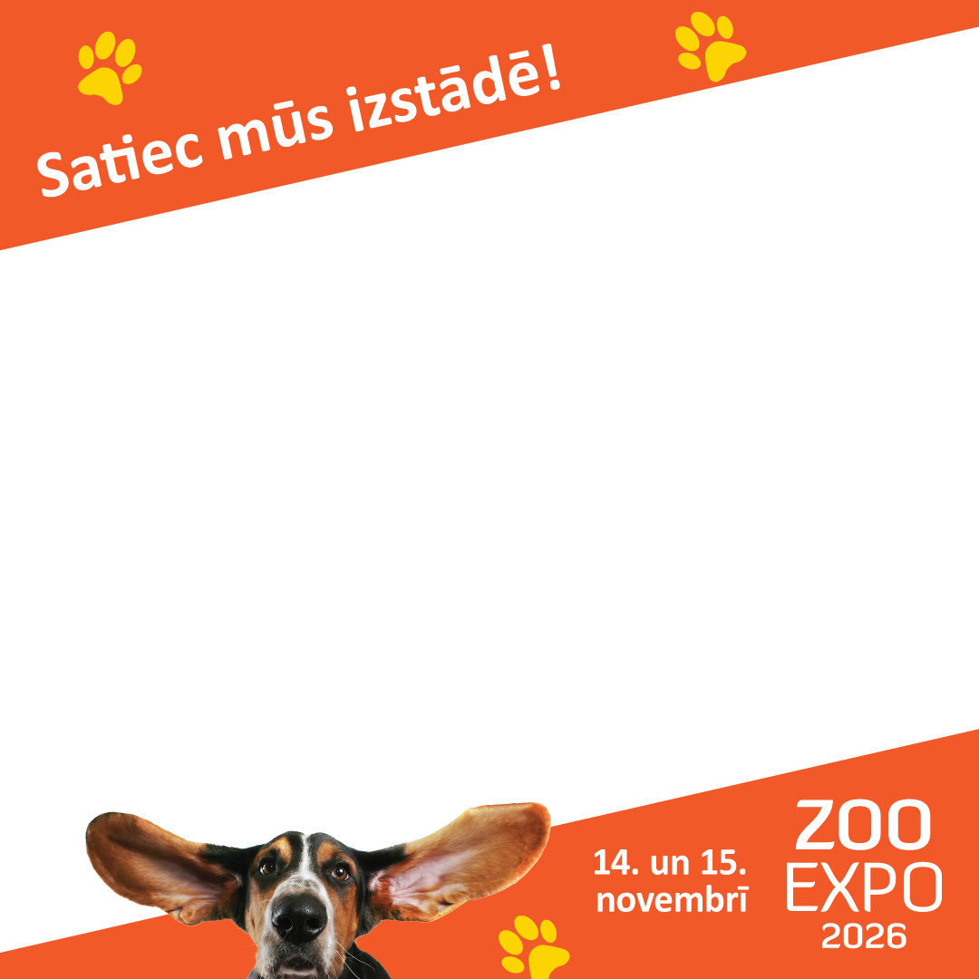 ZooExpo skin 1080x1080