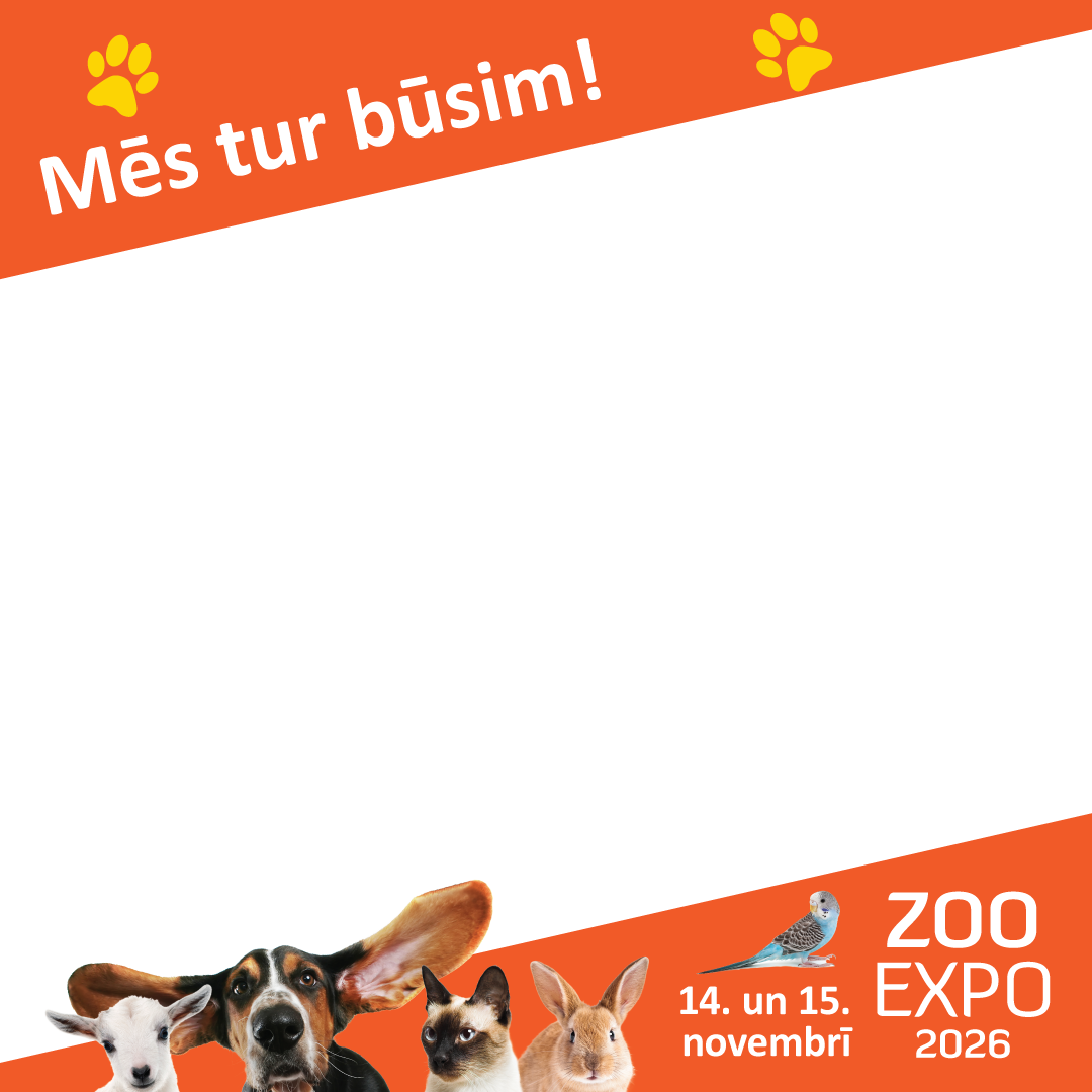 ZooExpo skin 1080x1080